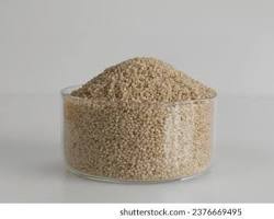 Unpolished Little Millet Whole Grains